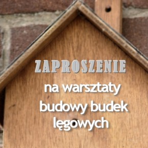 GMINNY KLUB KULTURY ORGANIZUJE WARSZTATY BUDOWY BUDEK LĘGOWYCH