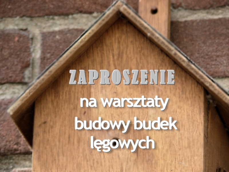 budki lęgowe