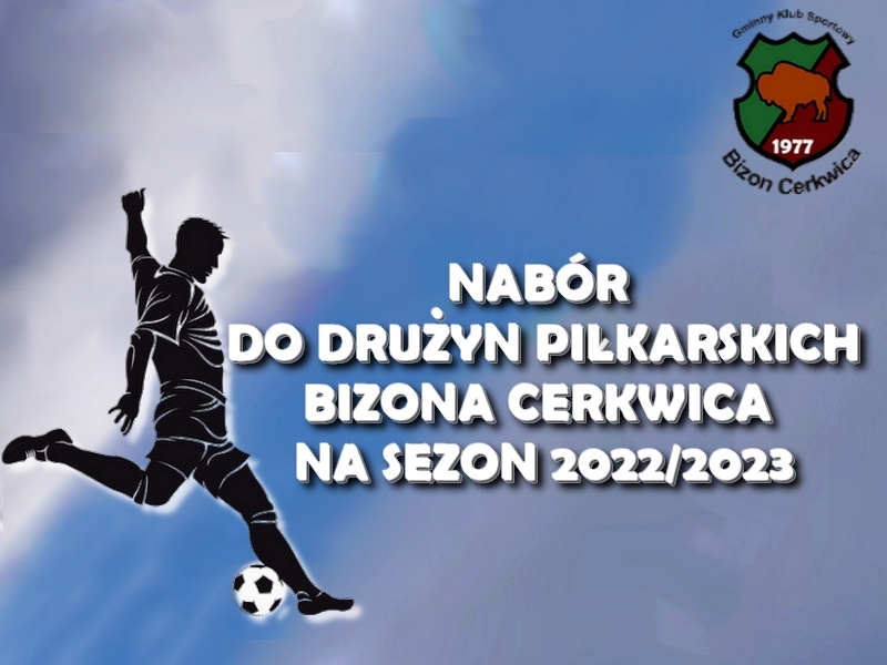 bizon nabór