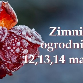 ZIMNA ZOŚKA I ZIMNI OGRODNICY