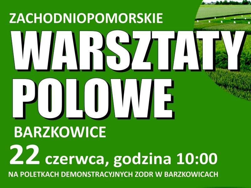 PLAKAT - XIII WARSZTATY POLOWE, główna