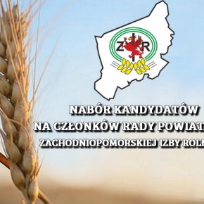 NABÓR ZGŁOSZEŃ DO POWIATOWEJ RADY ZIR