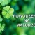Bright classic four leaf clover background. Selective focus