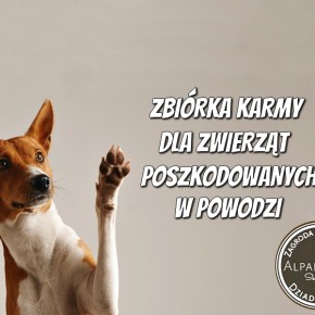 ZBIÓRKA KARMY DLA ZWIERZĄT POSZKODOWANYCH W POWODZI