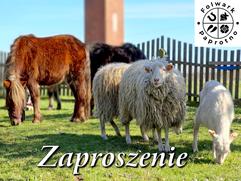 473912851_957723979625534_4086502592706777754_n