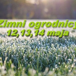 ZIMNI OGRODNICY