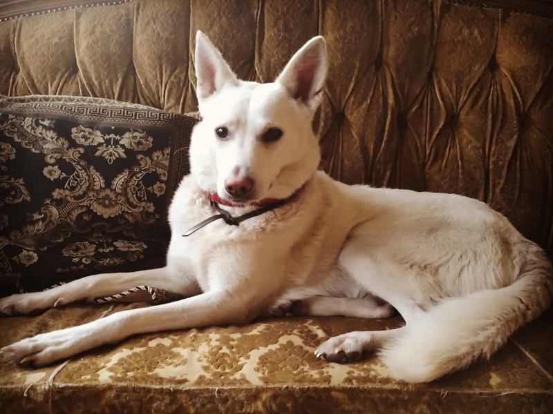 502582283_2081517855672173_5253323794451202877_n