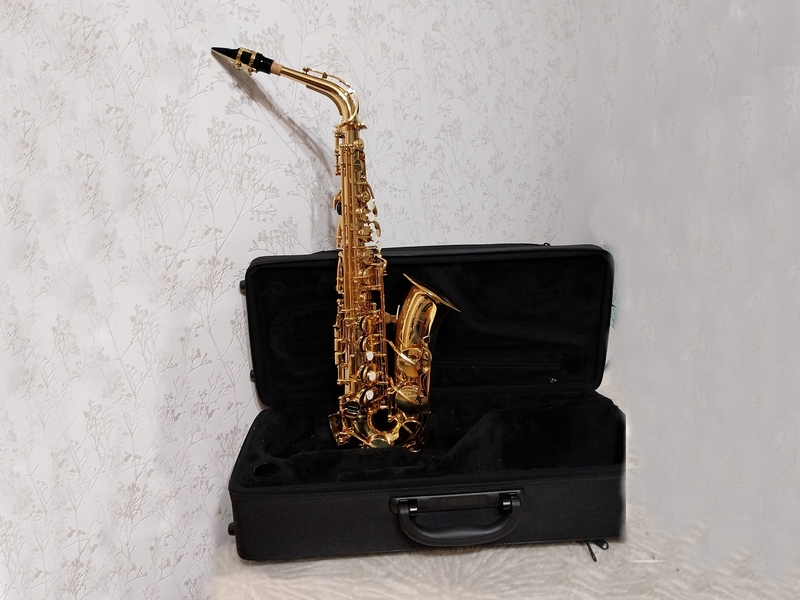 594159815_1180430707534103_3321740494175040553_n