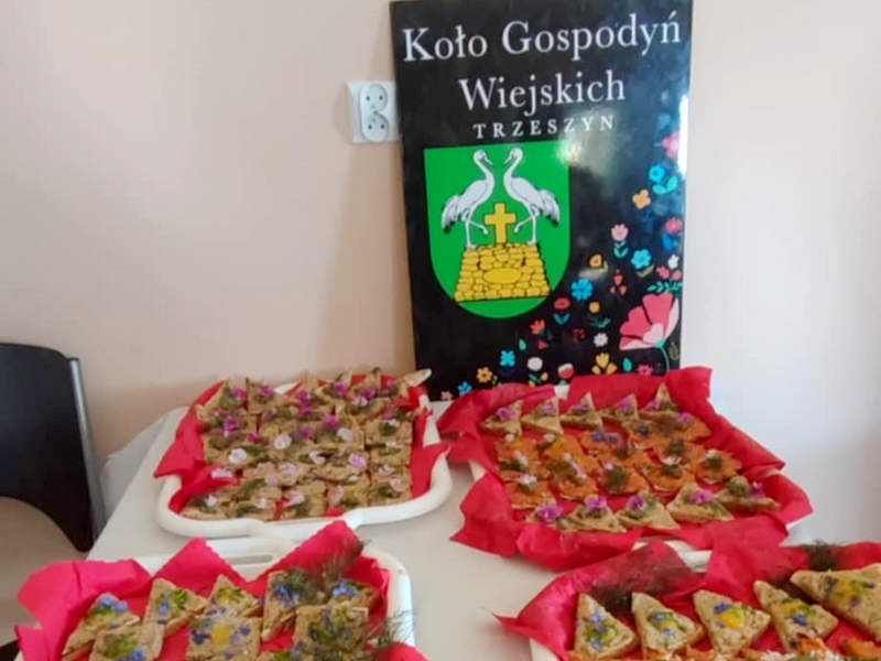 515313215_1056693863241122_2459559955288094879_n