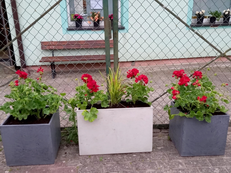 511084218_1050658670511308_9131031822013231936_n