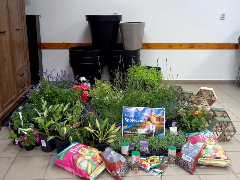 511197346_1050658667177975_4618993209444966214_n