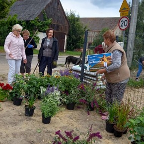 ZAKOŃCZENIE PROJEKTU „U NAS CORAZ ŁADNIEJ – INTEGRACJA POKOLENIOWA” W TRZESZYNIE