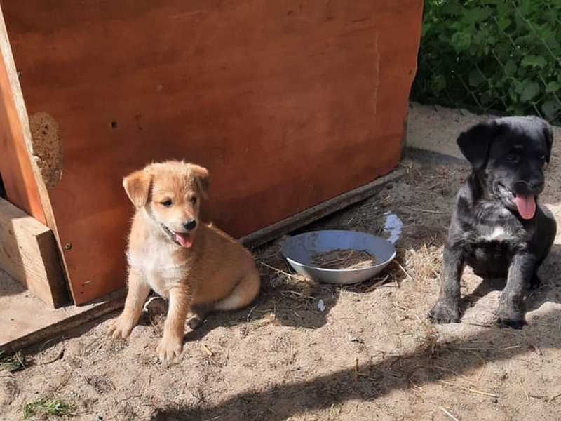 f6a4f9f9-deac-415e-aeb9-c94a8169397d