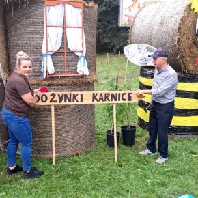 TRWAJĄ PRZYGOTOWANIA DO DOŻYNEK