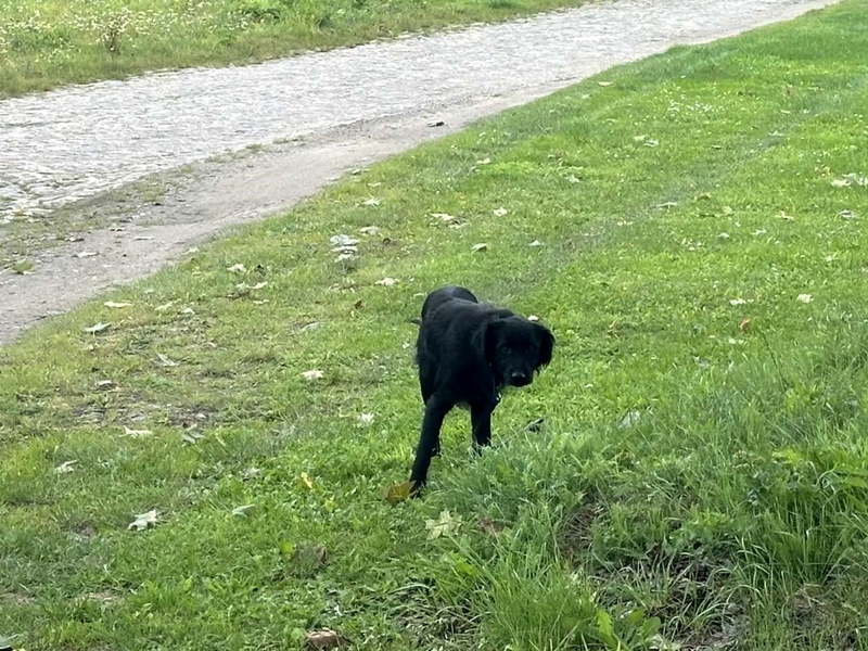 545886032_1050578003640176_1550584830308288504_n