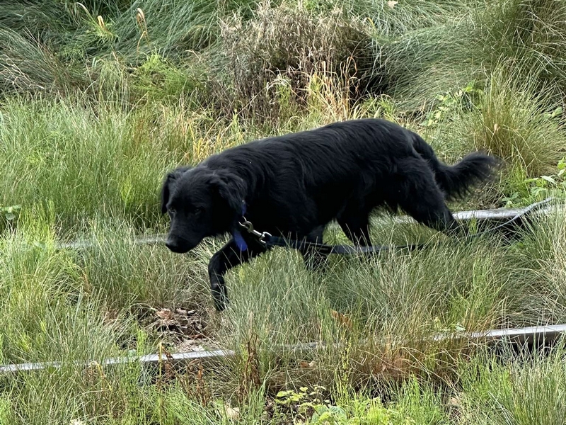 547014207_1125425876363361_6355293170344739193_n