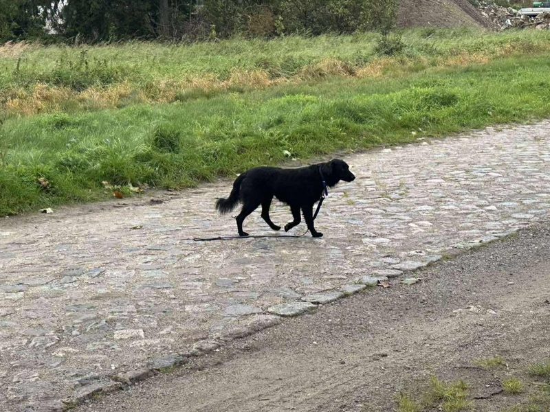 547172450_1126602946266399_3244131095817845390_n