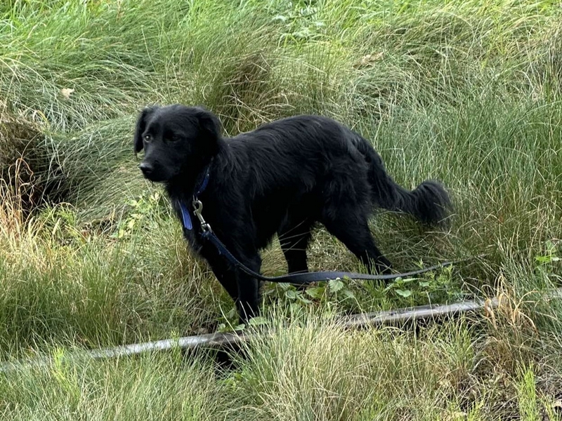 548375405_1313818946805948_2581203644154458254_n