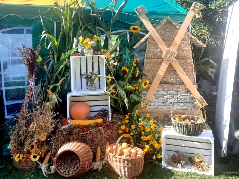 acbaa65d-1c2e-48e9-910a-ff91b44e76f5