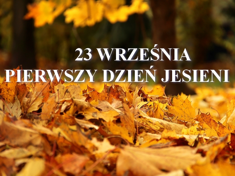 kalendarzowa jesień grafika