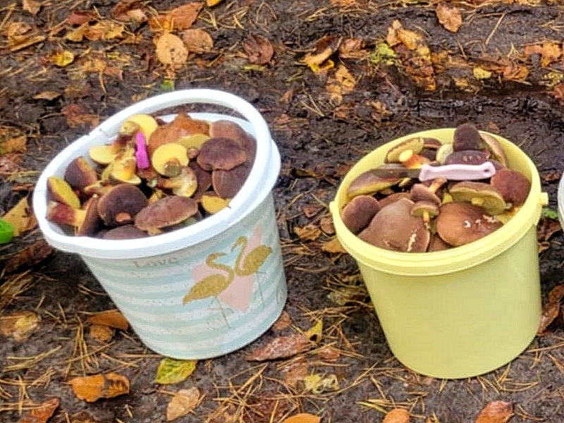 552fc84c-05ad-44d9-863d-9c8f72ff5001