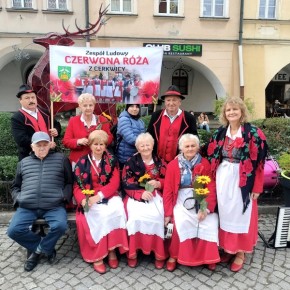 SUKCES ZESPOŁU CZERWONA RÓŻA W JELENIEJ GÓRZE