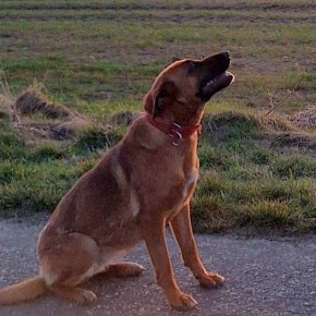 CZY KTOŚ WIDZIAŁ LUNĘ?