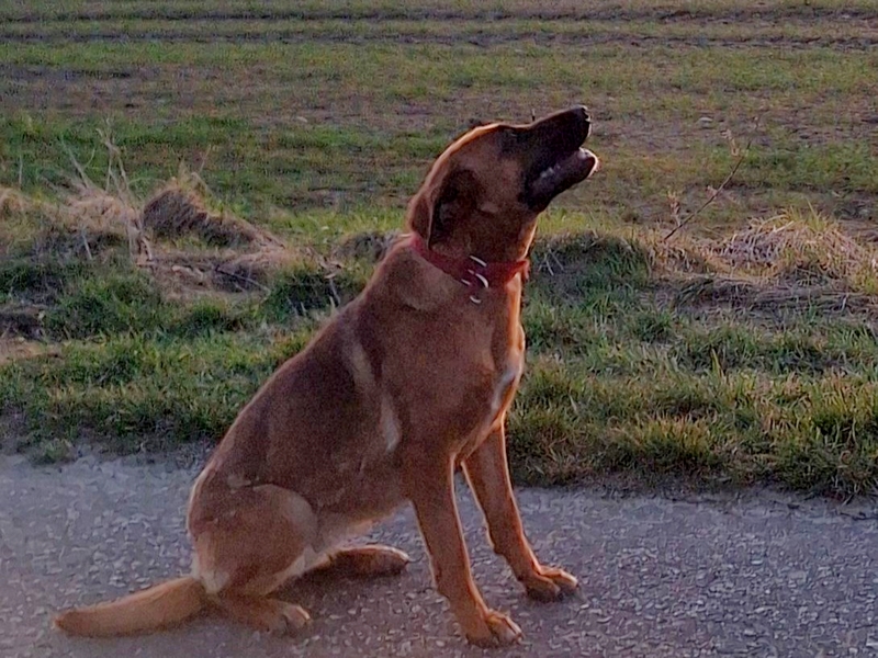 580546145_3034113643415867_1447739719615231708_n