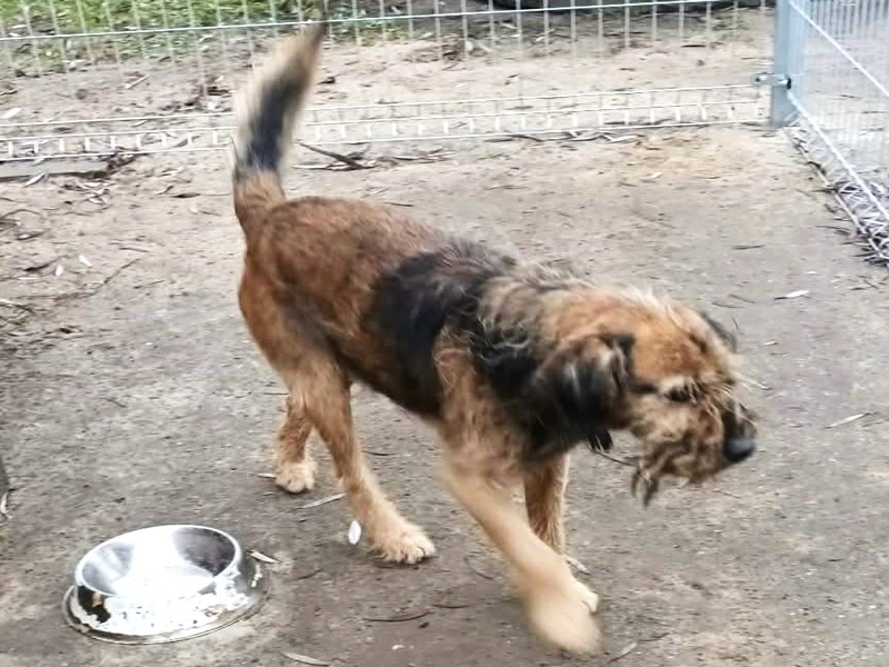 601977927_1378915787361244_3782656805702864042_n