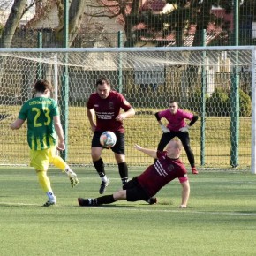 BIZON ZAKOŃCZYŁ ROZGRYWKI PUCHAROWE